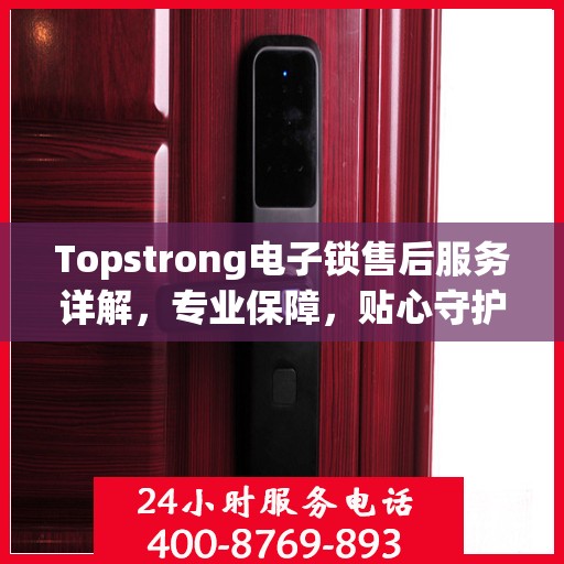 Topstrong电子锁售后服务详解，专业保障，贴心守护您的安全之选