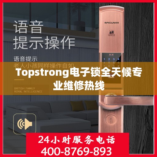 Topstrong电子锁全天候专业维修热线