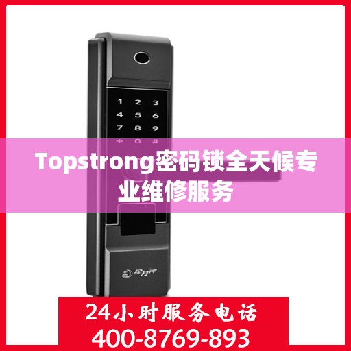 Topstrong密码锁全天候专业维修服务