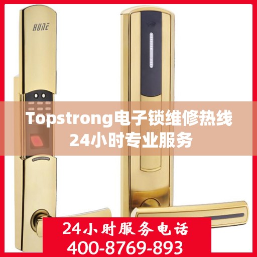 Topstrong电子锁维修热线 24小时专业服务
