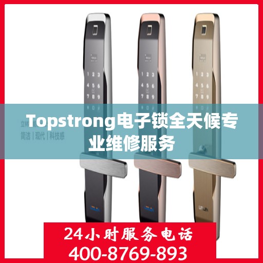Topstrong电子锁全天候专业维修服务