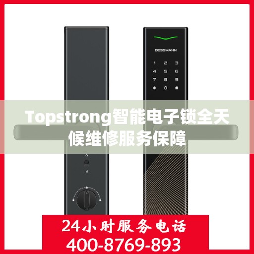 Topstrong智能电子锁全天候维修服务保障