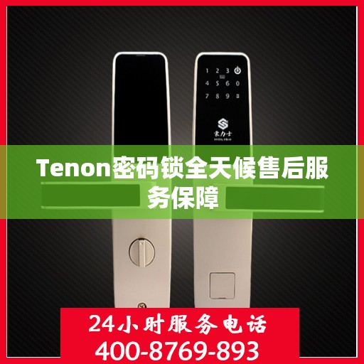 Tenon密码锁全天候售后服务保障