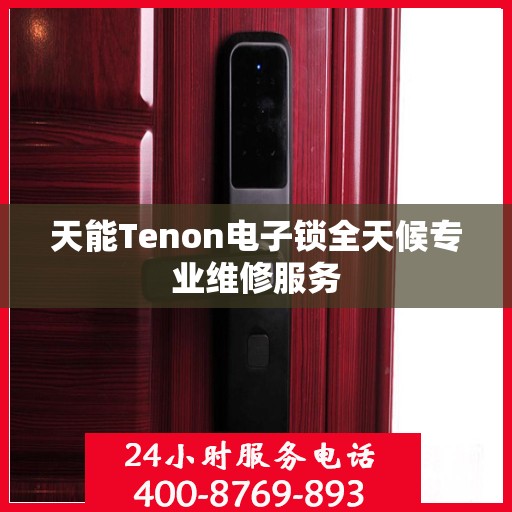 天能Tenon电子锁全天候专业维修服务