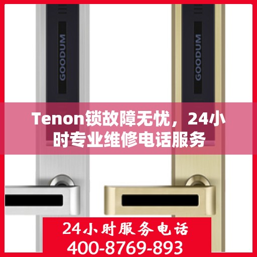 Tenon锁故障无忧，24小时专业维修电话服务